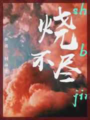 烧不尽完整版txt